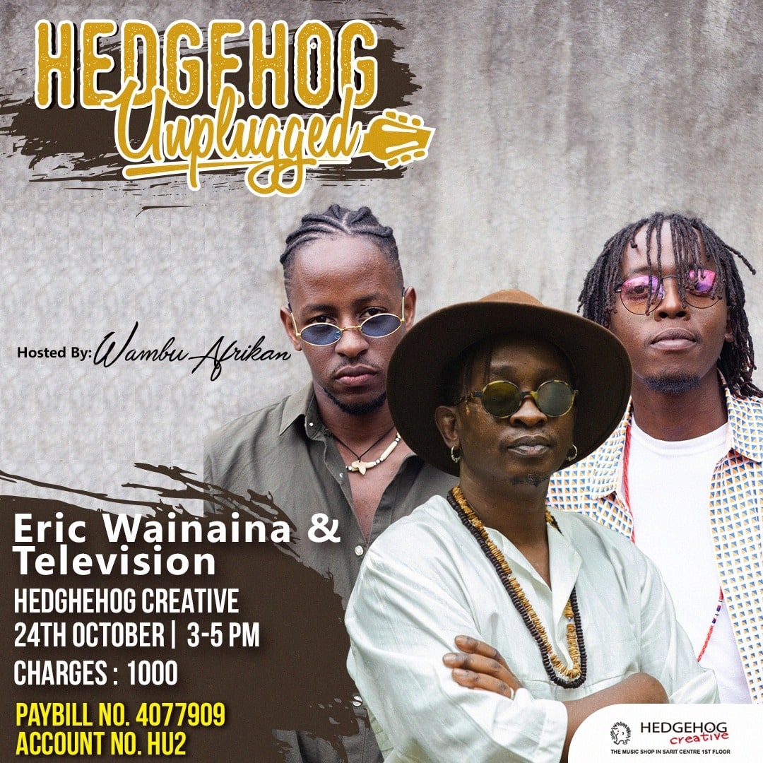 Hedgehog Unplugged ft Eric Wainaina and Television